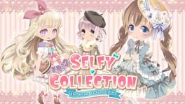Selfy Collection: The Dream Fashion Stylist! artwork 1