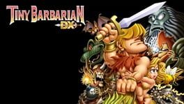 Tiny Barbarian DX artwork 1