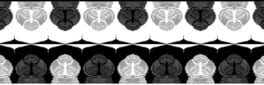 Dualism artwork 1