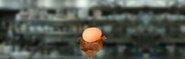Egg Is Broken. Heart Is Too. artwork 1