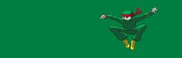 Ninja Midori artwork 1