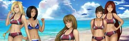 Volleyball Heaven artwork 1