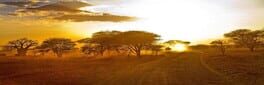 Survival Africa artwork 1