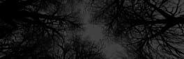 Witch Hunt artwork 1