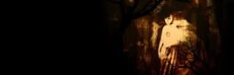 Pulang Insanity: Director's Cut artwork 1