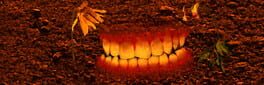 My Hole is a Mouth of Dirt artwork 1
