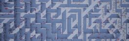 The Maze Escaper artwork 1
