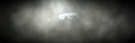 Divinest Light artwork 1