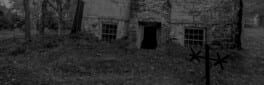 Wardwell House artwork 1