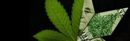 Weed Shop 3 artwork 1