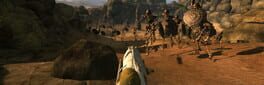 Desert coachman artwork 1