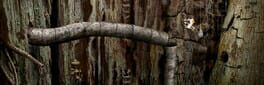 Samorost 2 artwork 1