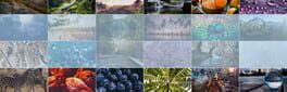 Sliding Puzzle Collection artwork 1