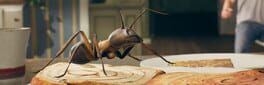 Domin'Ant artwork 1