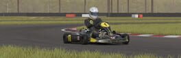 Kart Racing Pro artwork 1