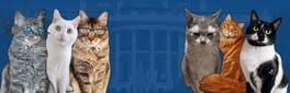 Cat President 2: Purrlitical Revolution artwork 1