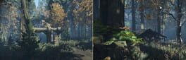 Duty on Forest artwork 1