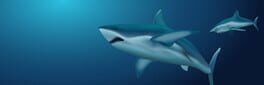 Typing with Sharks artwork 1