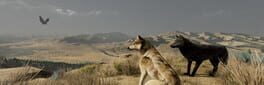 WolfQuest: Anniversary Edition artwork 1