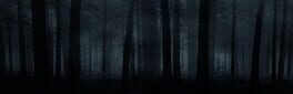Deadly Forest artwork 1