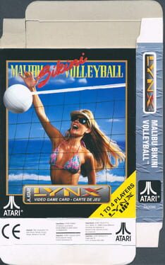 Malibu Bikini Volleyball artwork 1