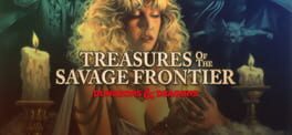 Treasures of the Savage Frontier artwork 1