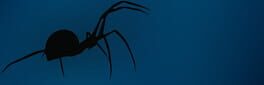 Recursive Hate: Spider Hell artwork 1