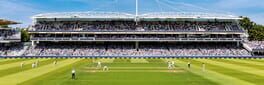Cricket Captain 2021 artwork 1