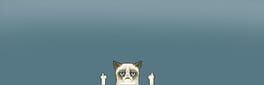 Puzzle Angry Cat artwork 1