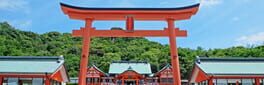 Abiko the Miko artwork 1