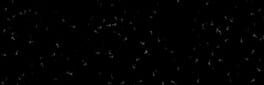 Distant Transmission artwork 1