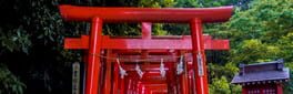 Abiko the Miko 2 artwork 1
