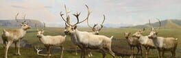 Beyond the Diorama: Caribou World artwork 1