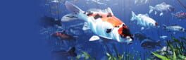 My Koi artwork 1