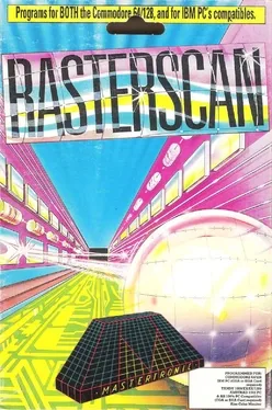 Rasterscan image