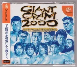 Giant Gram 2000: All Japan Pro Wrestling 3 image