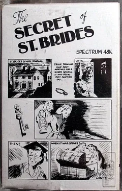 The Secret of St. Brides image