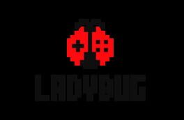 Team Ladybug