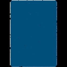 Blue Manchu