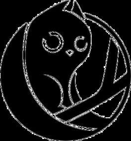 Owlcat Games
