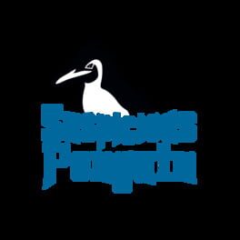 Suspicious Penguin