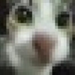 m0destia