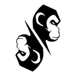 Monkey's Mirror