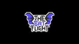 The Bat Flight