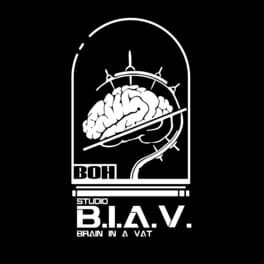 B.I.A.V. Studio