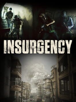 insurgency usa