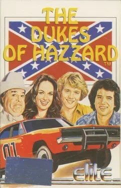 The Dukes of Hazzard image