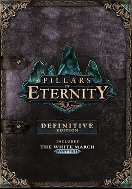 Pillars of Eternity: Definitive Edition Game Cover Artwork