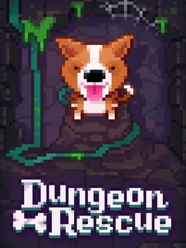 Fidel: Dungeon Rescue game cover