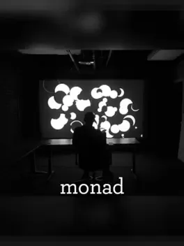 Monad image